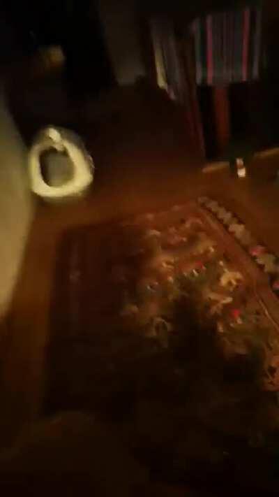 Me and my brotjer fought over an teddybear and i locked myself in the bathroom. I decided to go to my room amd my brotjer was in there