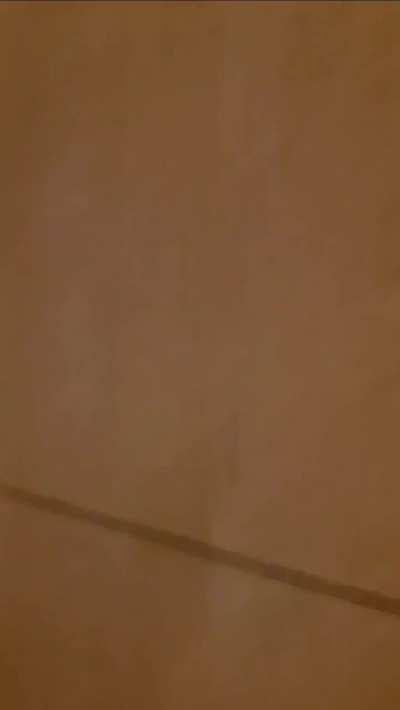 Apoyo al artista nacional