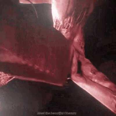 Larry getting her daily traps of the Baldwinitos for the gram