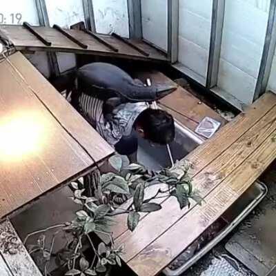 Dragon Overlord, the Human Whisperer; Rider of Man