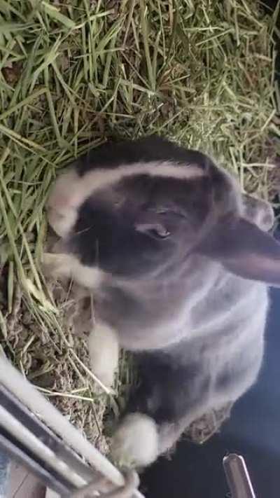 She was sleeping when I got home and I tried to get a video of her dreaming. Instead I woke her up. 😭 I love the way she looks at me like 