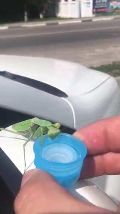 HydroHomies everything