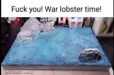 Lobster time