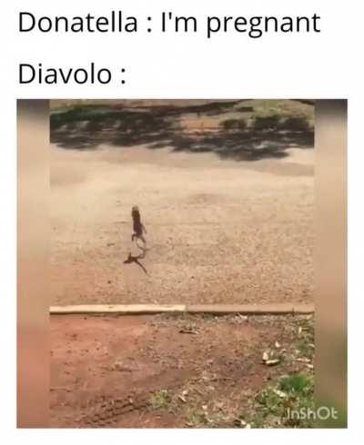 He's learnt from Joseph (First video meme please be gentle)