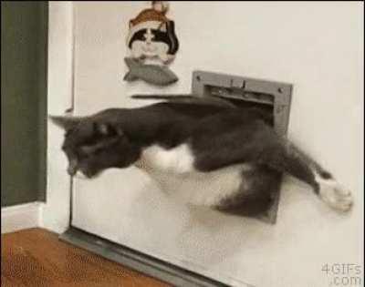 After Christmas dishes)