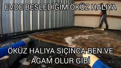 Evde öküz mü beslenir amk 🤠