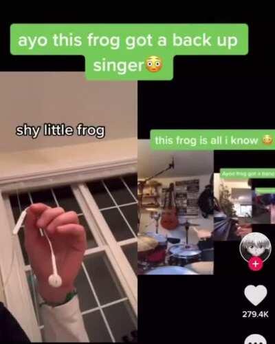 A cool little tune for the frog