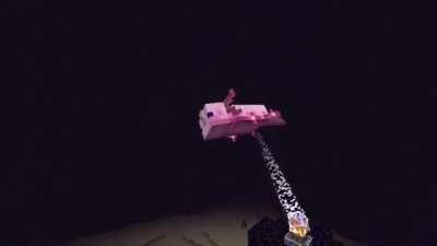 Wait that isn't the ender dragon!