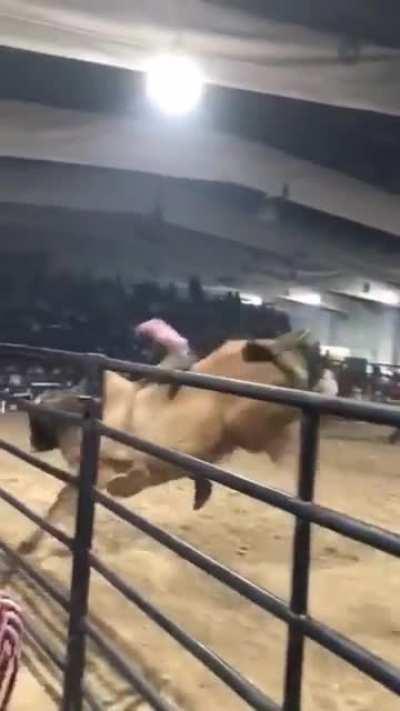 My wrangler people need meeeeeee!