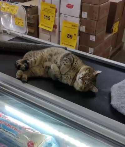 This chonker can be bought at the supermarket