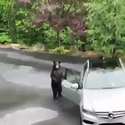 Figured this belongs here lol