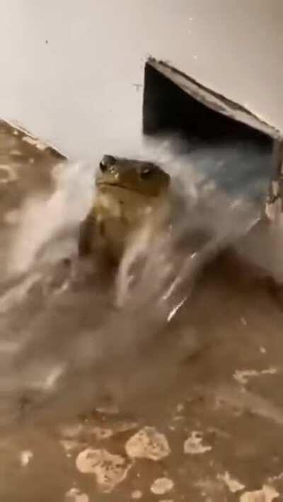 He’s just lettin the water flow on himself aww