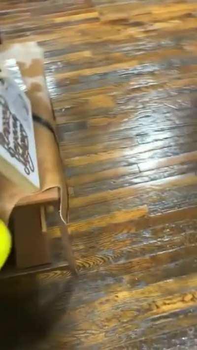 The homies always got you