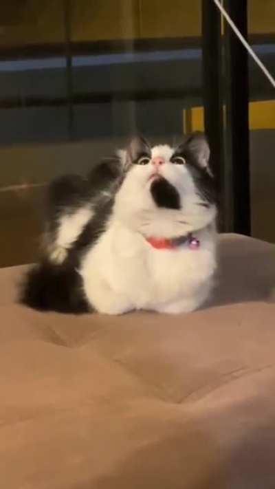 SHE TUCKED HER FEETS🤩🤗