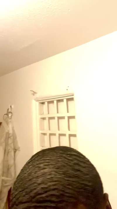 2nd Cut after nappy fro for 9years. Tips?