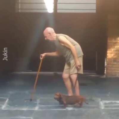 Dog follows the pace of the Owner