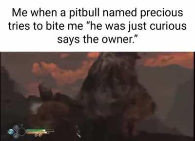 “He doesn’t bite!”