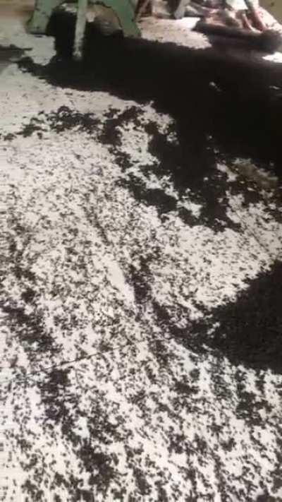 This is why I will never take an actual trip dose of benadryl intentionally