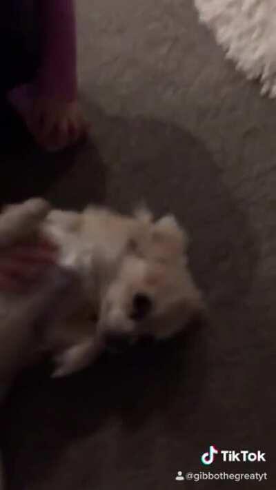 ELSIE ELSIE ELSIEEEEEEEE