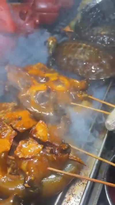 Tortuga asada picante china  🐢