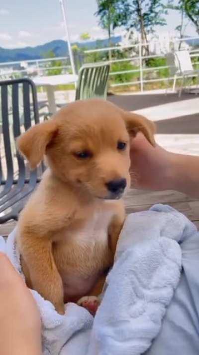 Do You Love Massage?? while