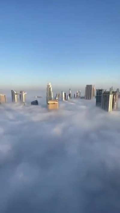 This guy won't get tired of this view!!!!