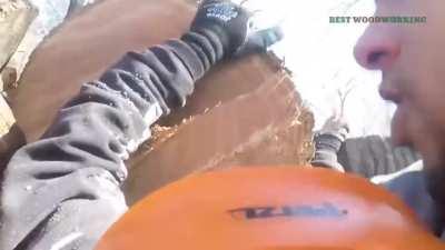 Tree hop lands man in hospital