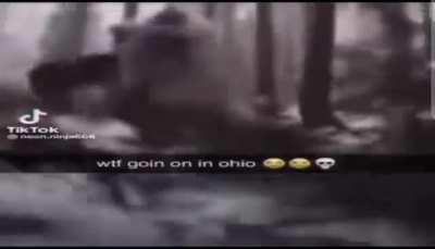 ohio edit (credits to trycs)