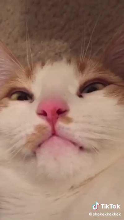 Hopefully this isn’t a repost, but here’s a chirping compilation I found on tiktok