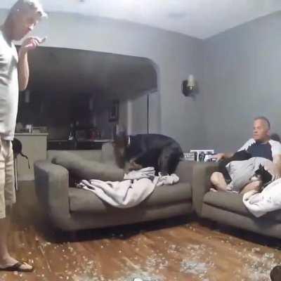 Go me... Go me... Go me... Oooh shit...