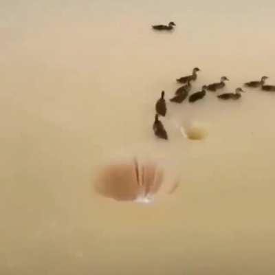 my hole people need me