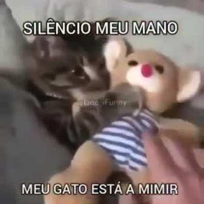 Silencio gato durmiendo dejenlo dormir