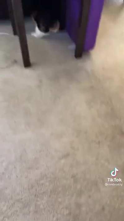 Just give her a second she’s just loading