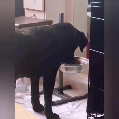 Hydration is important