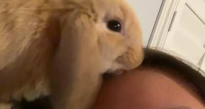 Forehead Cleaning, Don&rsquo;t know if I should feel offended or loved