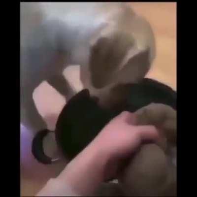 Don't you hate it when you're trying to brew a potion but your familiar gets in the way?