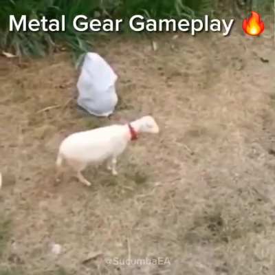 Metal wunk gameplay
