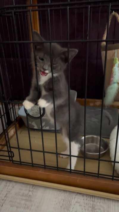 Criminal protests his unjust imprisonment