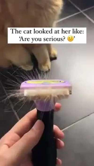 Looks like someone lost a bet 😂