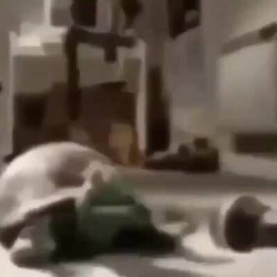 This is not a real post