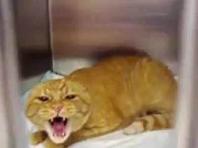 AAAAAAAAAAAAAAAAAAAAA AAAAAAA AAA AA A A AAAAAAAAAAAAAAAAAAA