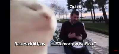 Zizou’s Greatest Hits