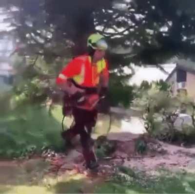 A Man Cutting Down A Huge Tree
