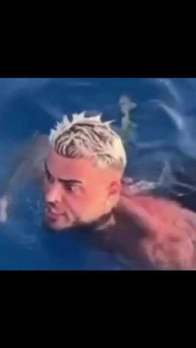 Everyone acts cool till something brushes up on them in the water.