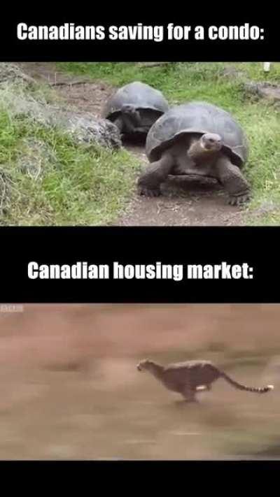 Canadians saving for a condo x Canadian housing market
