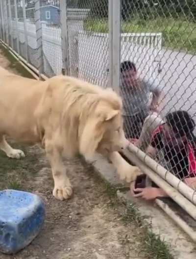 Get off my property, please