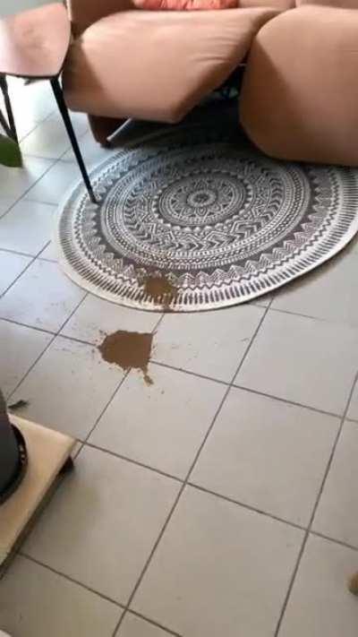 My pupper had explosive diarrhea...