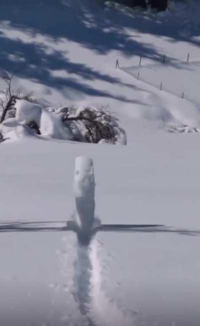 Everyone wanted to do this at some point