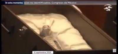 Mexico is just unboxed aliens in their Congress