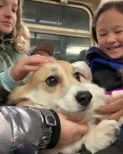 She's just at a loss from so much attention.